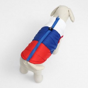 Куртка для собак "Патриот", размер XL (ДС 40, ОГ 60 см)