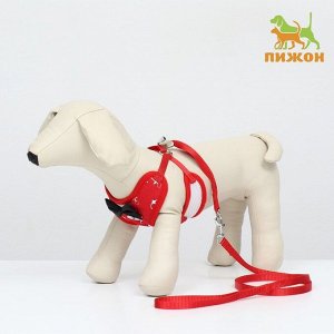 Комплект с мягкой шлейкой и бантиком"Якорь", р-р S, поводок120 x 1,5 см, ОГ 23-42см, красный