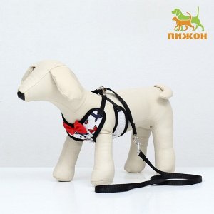 Комплект с мягкой шлейкой и бантиком "Морской", размер S, поводок 120 x 1,5 см, ОГ 23-42 см