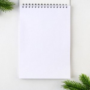 Скетчбук А5, 40 листов, в мягкой обложке, на гребне, 100 г/м² «Новый год: Дед мороз»