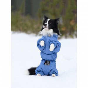 Комбинезон утепленный на флисе для собак р. 40-1 кобель (голубой)