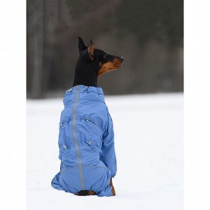 Osso fashion Комбинезон утепленный на флисе для собак р. 45-1 кобель (голубой)