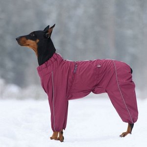 Osso fashion Комбинезон утепленный на флисе для собак р. 60-2 сука (бордо)