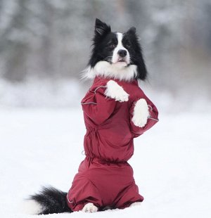 Osso fashion Комбинезон утепленный на флисе для собак р. 60-2 сука (бордо)