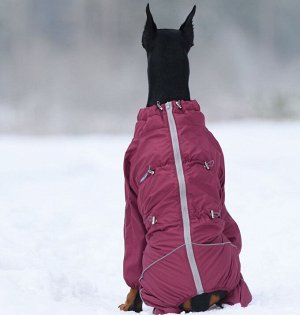 Osso fashion Комбинезон утепленный на флисе для собак р. 55-2 сука (бордо)