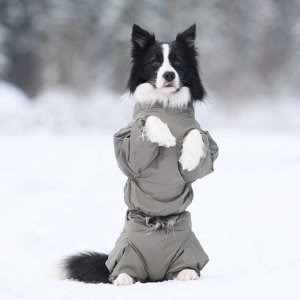 Osso fashion Комбинезон утепленный на флисе для собак р. 40-2 кобель (хаки)