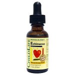 ChildLife, Essentials, эхинацея, с натуральным вкусом апельсина, 1 жидкая унция (29,6 мл)