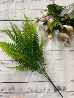 Папоротник орляк кустик