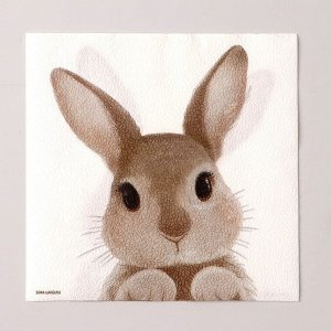 Салфетки бумажные однослойные «Кролик», 33 х 33 см, набор 20 штук
