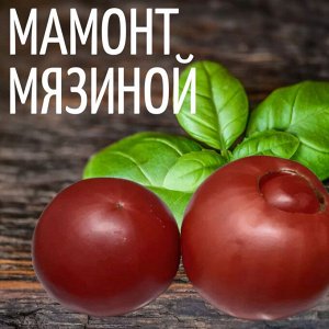 Семена Томат Мамонт Мязиной, 5-7 семян, сортовой