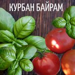 Семена Томат Курбан Байрам (Турция), 5 семян, сортовой