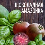 Семена Томат Шоколадная Амазонка, 5 семян, сортовой