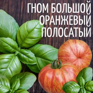 Семена Томат Гном большой оранжевый полосатый (США), 5 семян