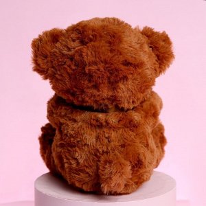 Мягкая игрушка «Ты дороже всего на свете», медведь, цвета МИКС