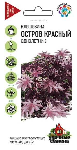 Цветы Клещевина Остров Красный ЦВ/П (ГАВРИШ) 5шт однолетник до 2м