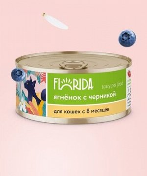 NEW! Консервы Florida для  кошек: Ягненок с черникой. 100 гр. Супер премиум. Россия