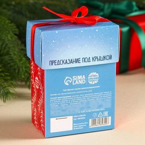 Чай новогодний чёрный «Радость не за горами», вкус: мята, 50 г.