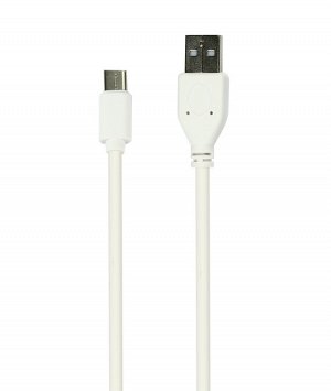 Дата-кабель Smartbuy USB 2.0 - USB TYPE C, белый, длина 1м (iK-3112 white)/500