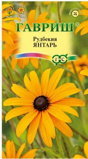 Цветы Рудбекия Янтарь ЦВ/П (ГАВРИШ) 0,05гр многолетник до 60см