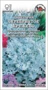 Цветы Цинерария Серебристое Кружево ЦВ/П (СОТКА) 0,05гр однолетник 15-30см