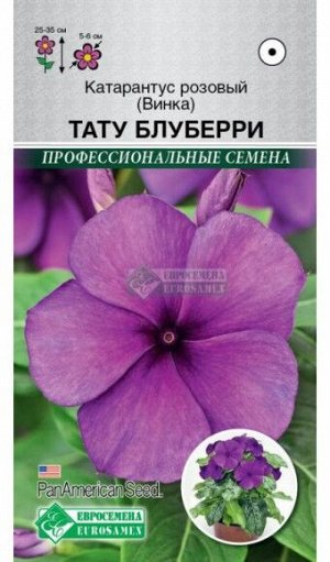 Цветы Катарантус Розовый (Винка) Тату Блуберри ЦВ/П (ЕС) 5шт однолетник 25-35см