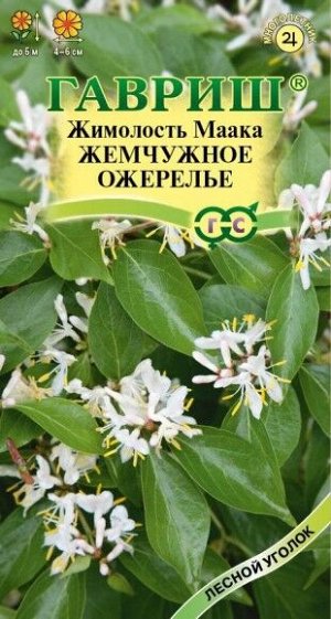 Жимолость Маака Жемчужное ожерелье ЦВ/П (ГАВРИШ) 0,05гр многолетник до 5м