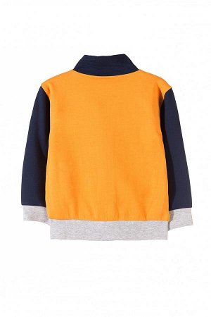 Толстовка MIX AND MATCH AW 18 100% Cotton