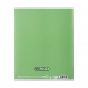 Тетрадь 12 листов в клетку Calligrata "Пятёрка", обложка мелованный картон, блок офсет, белизна 95%, Зелёная