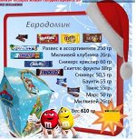 Новогодний подарок Евродомик