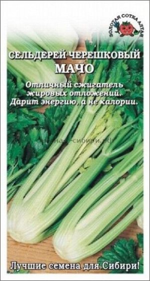Сельдерей черешковый Мачо ЦВ/П (СОТКА) 0,5гр позднеспелый
