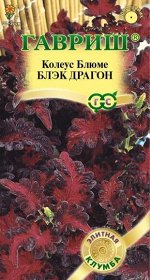 Цветы Колеус Блэк Драгон ЦВ/П (ГАВРИШ) 4шт однолетник 25-30см