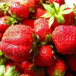 Набор из 5 Саженцев клубники Талисман Р9 0,5 л. стакан