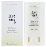 Матирующий солнцезащитный стик Beauty of Joseon Matte Sun Stick Mugwort+Camelia SPF 50+ PA++++