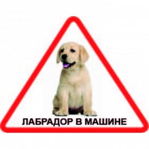 Наклейка Наклейка треугольная с собакой 005 Лабрадор, пленка Orajet