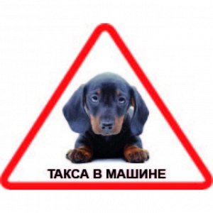 Наклейка Наклейка треугольная с собакой 007 Такса, пленка Orajet