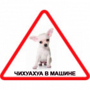 Наклейка Наклейка треугольная с собакой 009 Чихуахуа, пленка Orajet