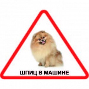 Наклейка Наклейка треугольная с собакой 010 Шпиц, пленка Orajet