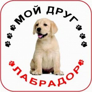 Наклейка Наклейка круглая с собакой 005 Лабрадор, пленка Orajet