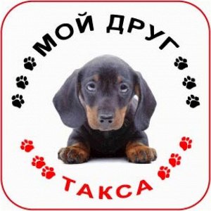 Наклейка Наклейка круглая с собакой 007 Такса, пленка Orajet