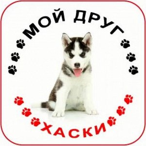 Наклейка Наклейка круглая с собакой 008 Хаски, пленка Orajet