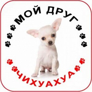 Наклейка Наклейка круглая с собакой 009 Чихуахуа, пленка Orajet