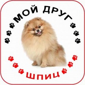 Наклейка Наклейка круглая с собакой 010 Шпиц, пленка Orajet