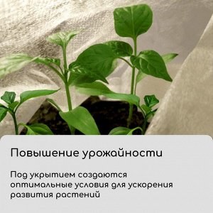 Материал укрывной, 5?1.6 м, плотность 60 г/м?, спанбонд с УФ-стабилизатором, белый, Greengo, Эконом 30%