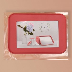 Набор органайзеров для хранения косметических принадлежностей «Eva», 22,8 × 15,9 × 13,8 см, с зеркалом, цвет розовый