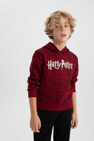 Толстовка с капюшоном стандартной посадки для мальчика Гарри Поттера, тканевая толстовка