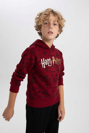 Толстовка с капюшоном стандартной посадки для мальчика Гарри Поттера, тканевая толстовка