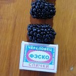 Саженцы ежевики Натчез (б/ш, июль-авг, 10 гр), однолетний