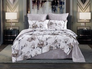Постельное белье с одеялом (ЕВРО) Валенсия (бежевый молоко) Print Cotton