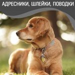 Адресники, чтобы не потерялись. Одежда, Шлейки, Поводки