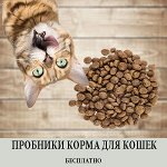 Пробники кормов для кошек. Возьмите на пробу бесплатно